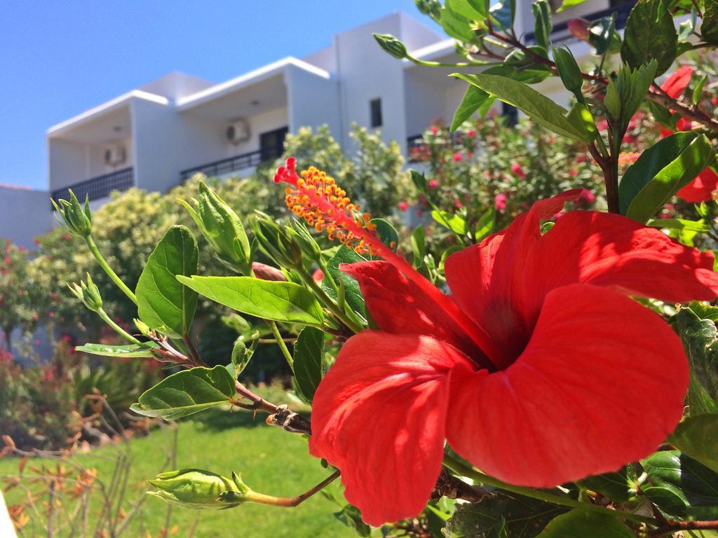 Debby Apartments Ialysos  Esterno foto