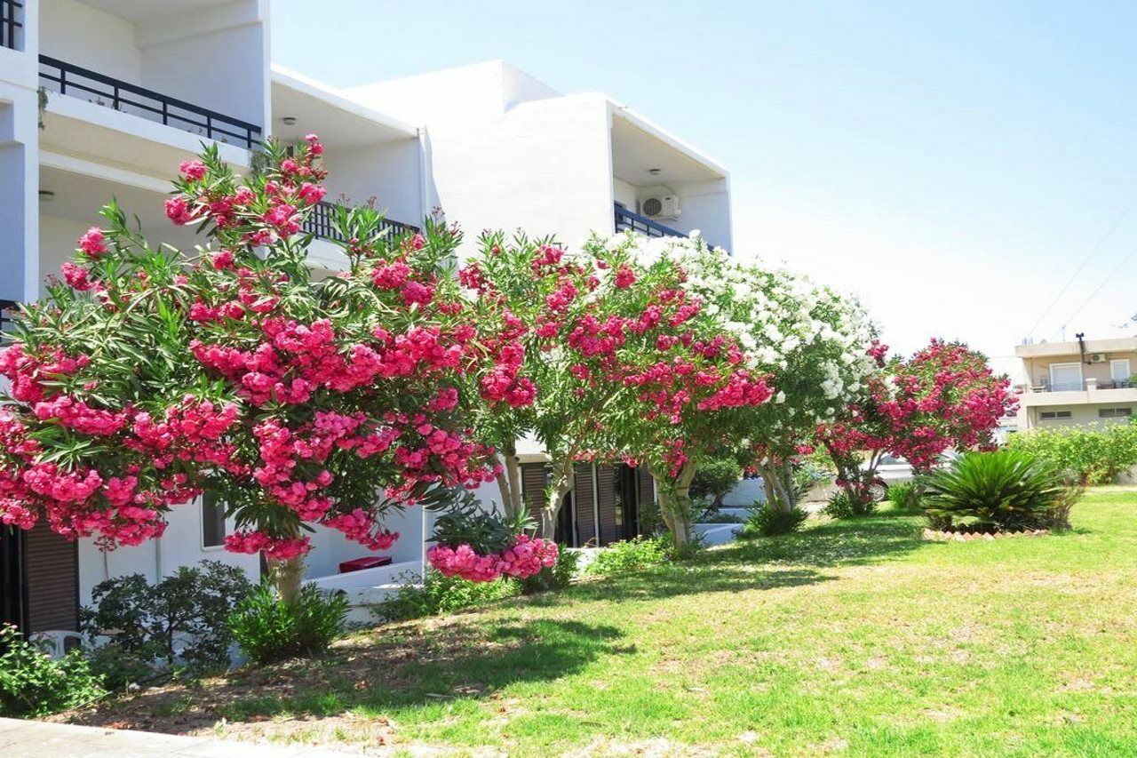 Debby Apartments Ialysos  Esterno foto